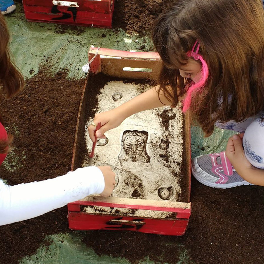 Laboratorio di Paleontologia